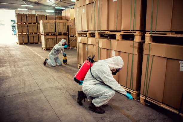 Best Cockroach Control Services  in Badieville, LA