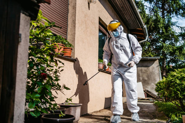Best Best Pest Control Companies  in Badieville, LA