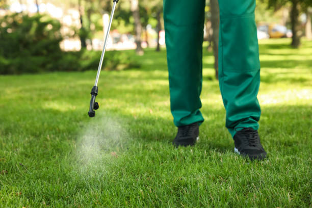 Best Flea Control Services  in Badieville, LA