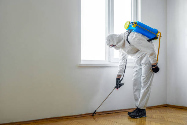Best Local Pest Control Services  in Badieville, LA