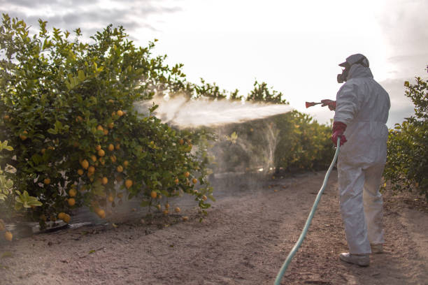 Best Wildlife Control Services  in Badieville, LA
