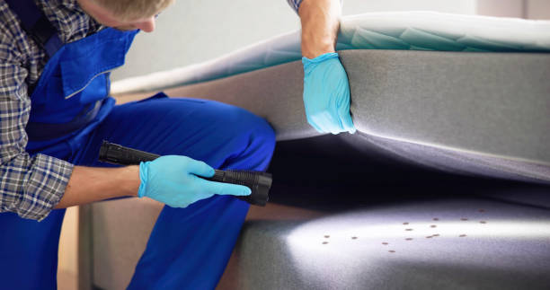 Best Pest Removal Services  in Badieville, LA