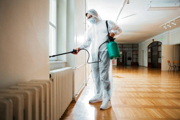 Best Cockroach Control Services  in Badieville, LA